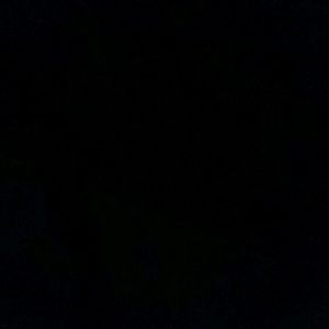 Meet your Posher, Ronald